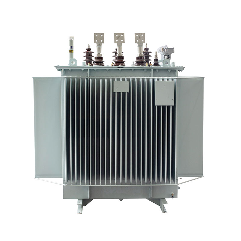 Oil-Immersed Type Transformer